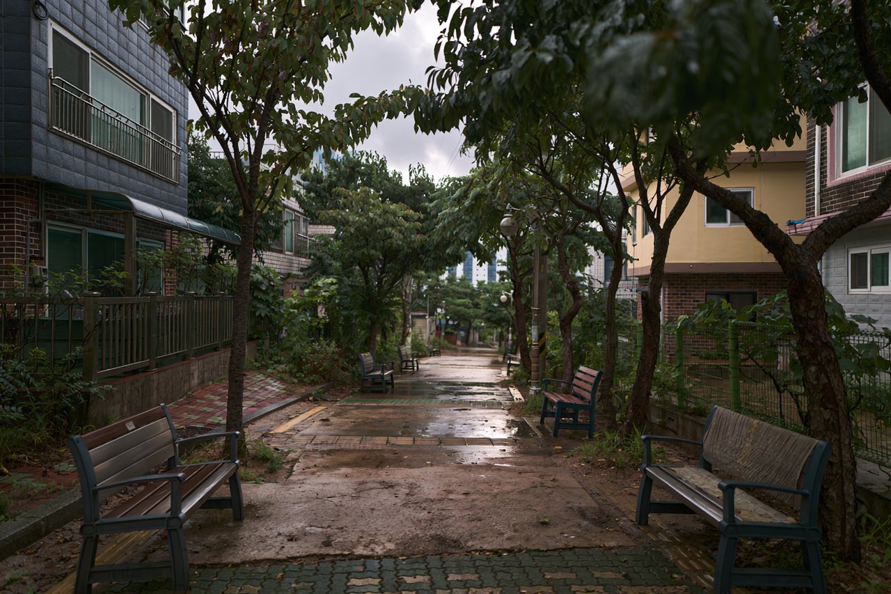 서울시 장애인 건강관리 검사 항목과 생활습관 순서 관련 이미지 5