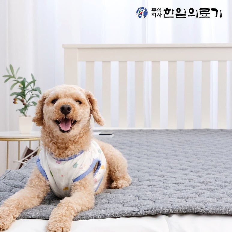 원문 이미지 3