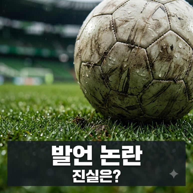 원문 이미지 1