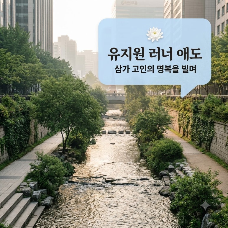원문 이미지 1