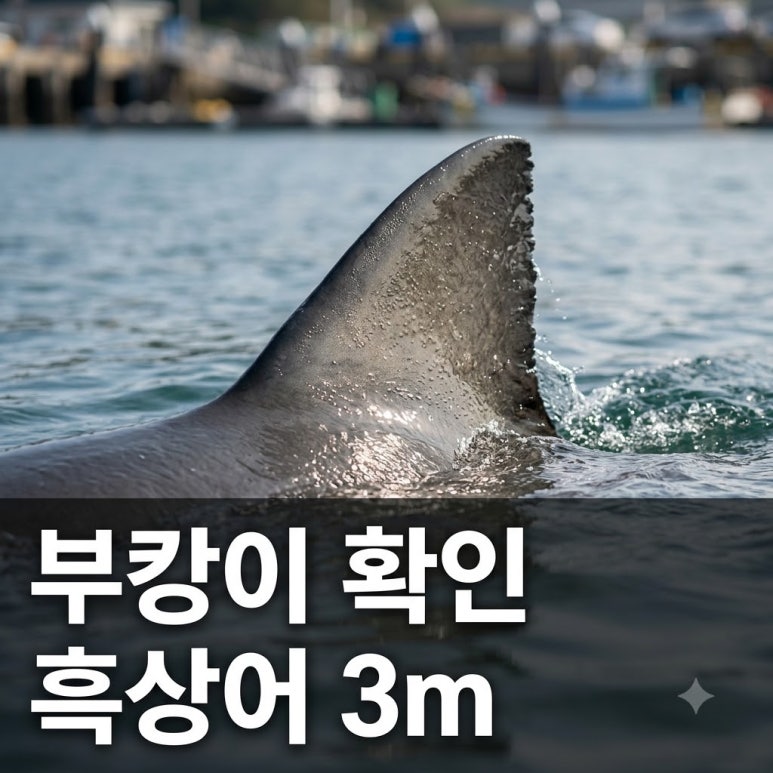 원문 이미지 1