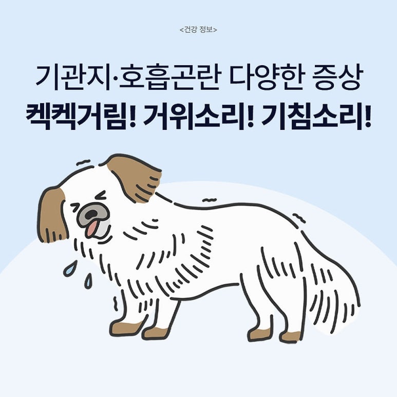 원문 이미지 7