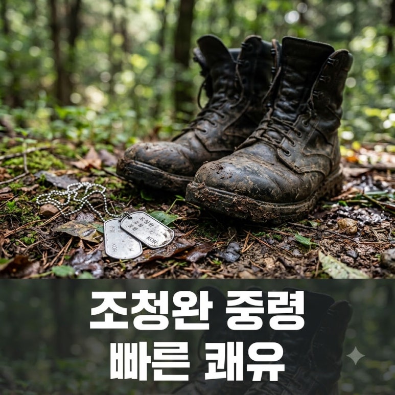 원문 이미지 1