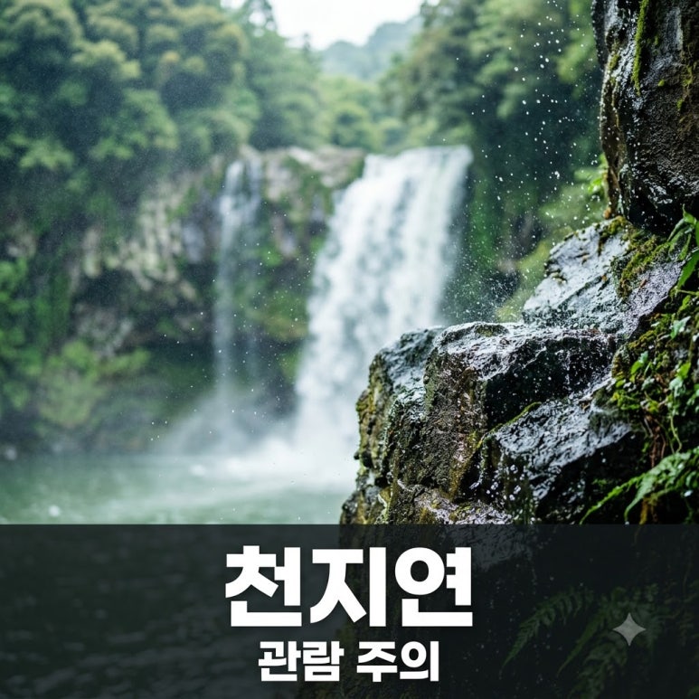원문 이미지 1