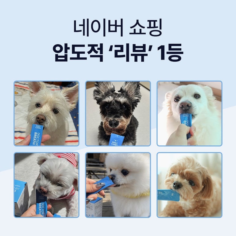 원문 이미지 4