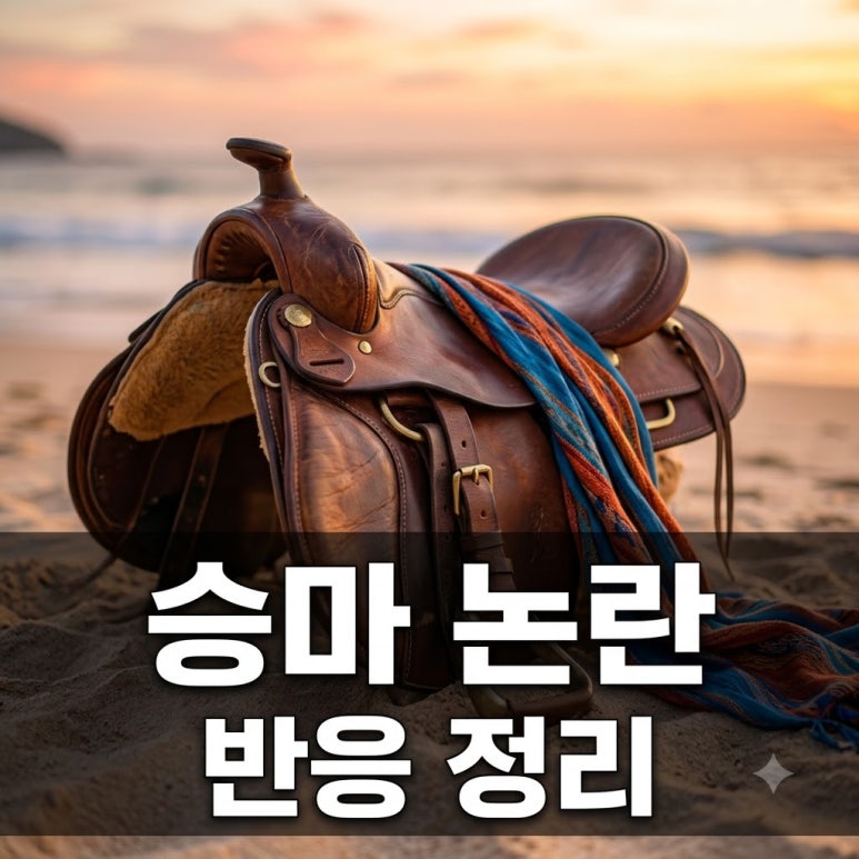 원문 이미지 1