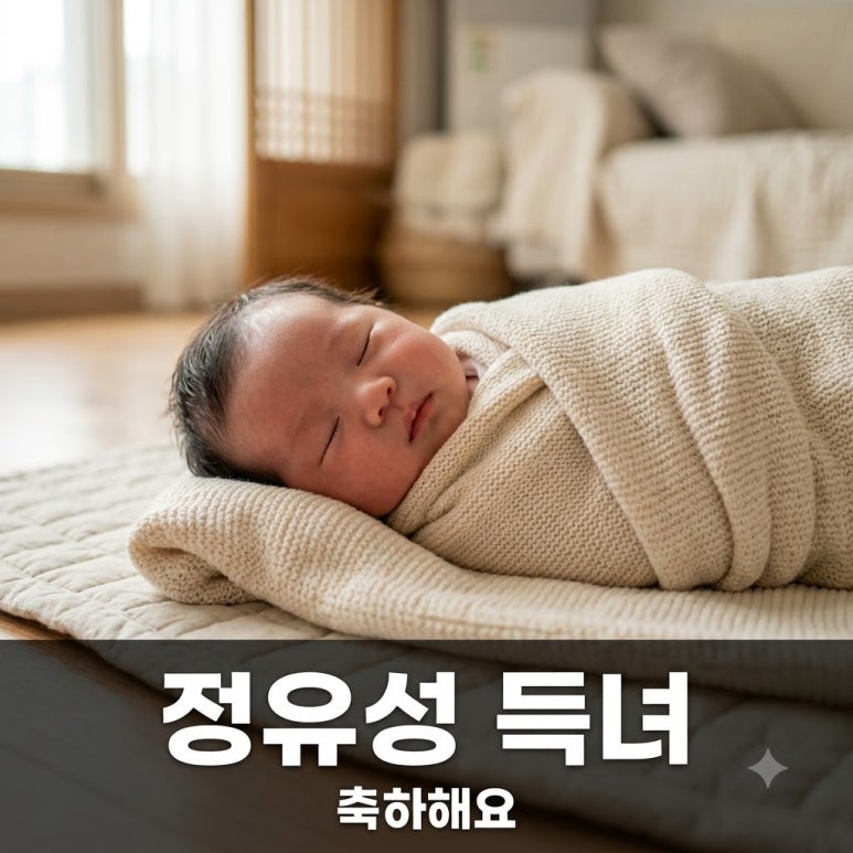 원문 이미지 1