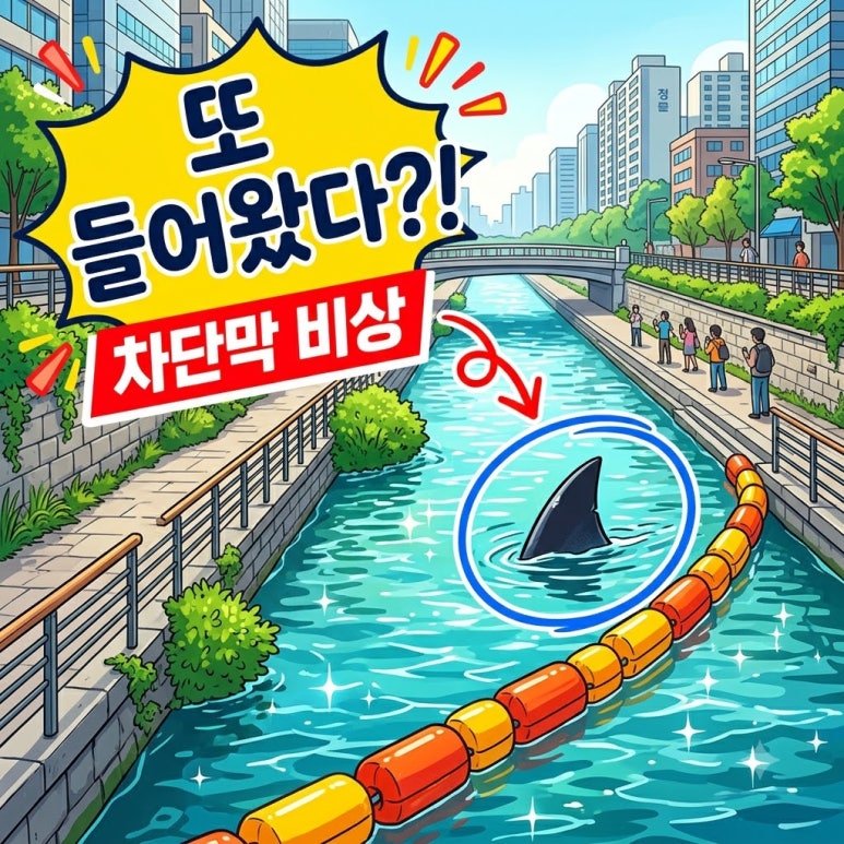 원문 이미지 1