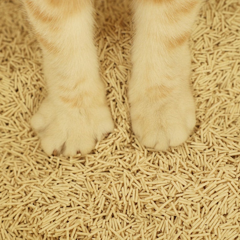 원문 이미지 4