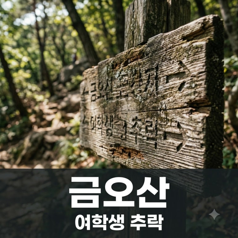 원문 이미지 1