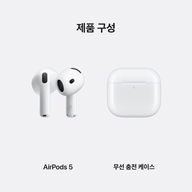 원문 이미지 8