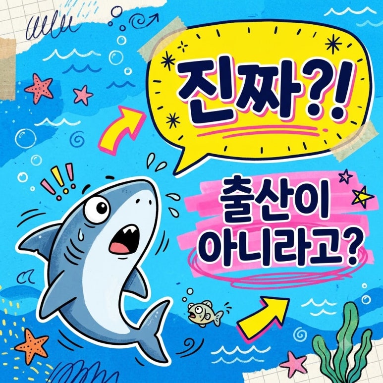 원문 이미지 1