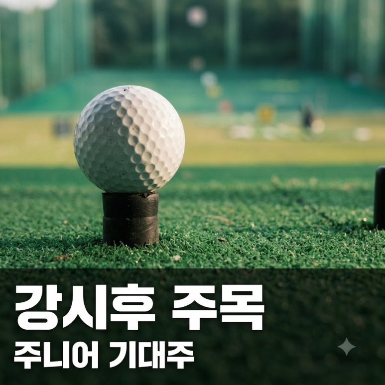 원문 이미지 1