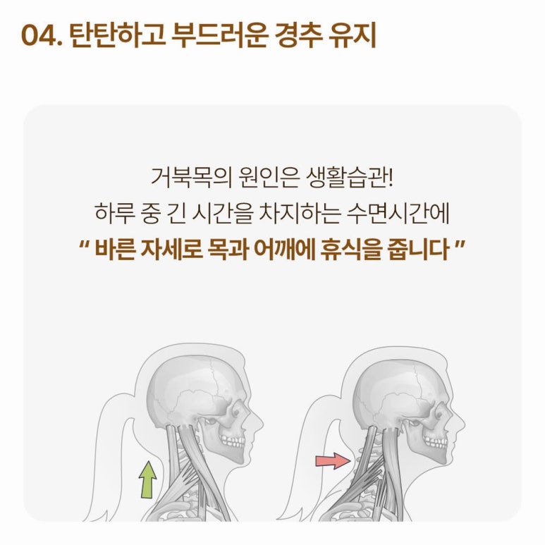 원문 이미지 9