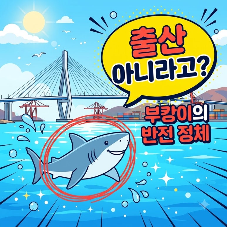 원문 이미지 1