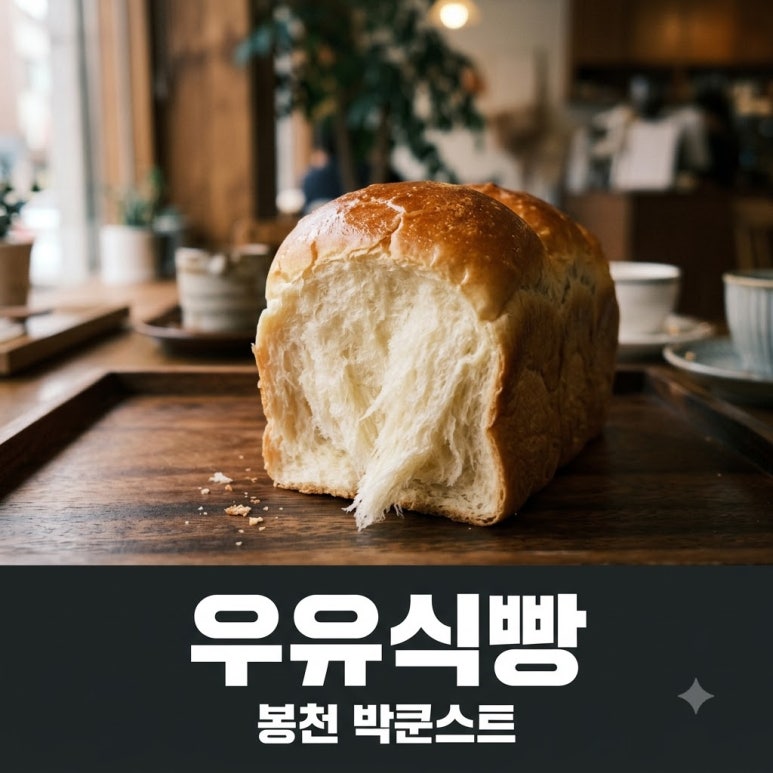 원문 이미지 1