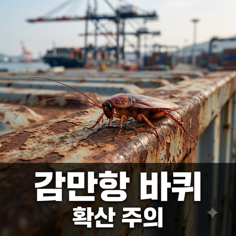 원문 이미지 1