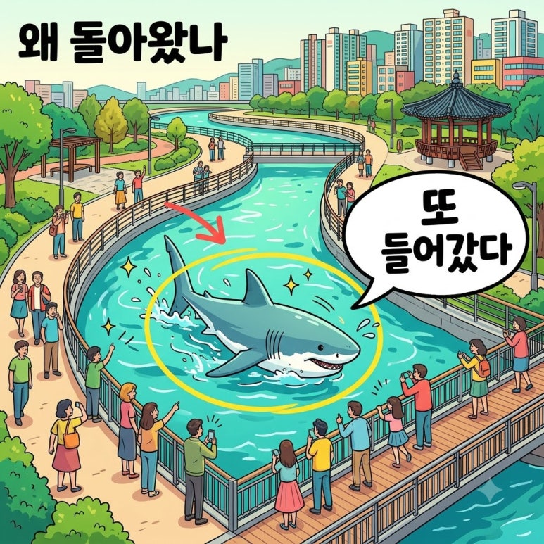 원문 이미지 1