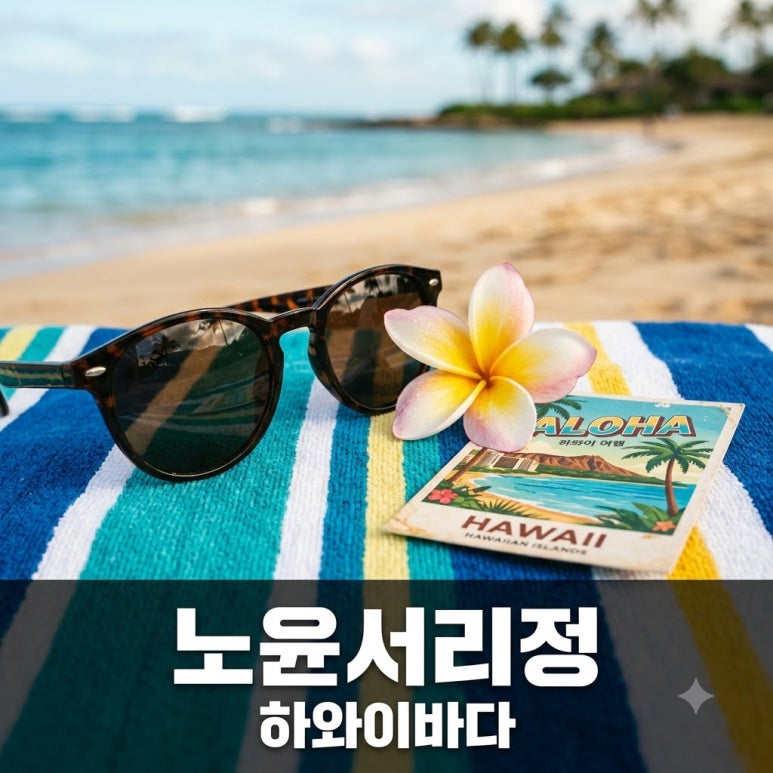 원문 이미지 1