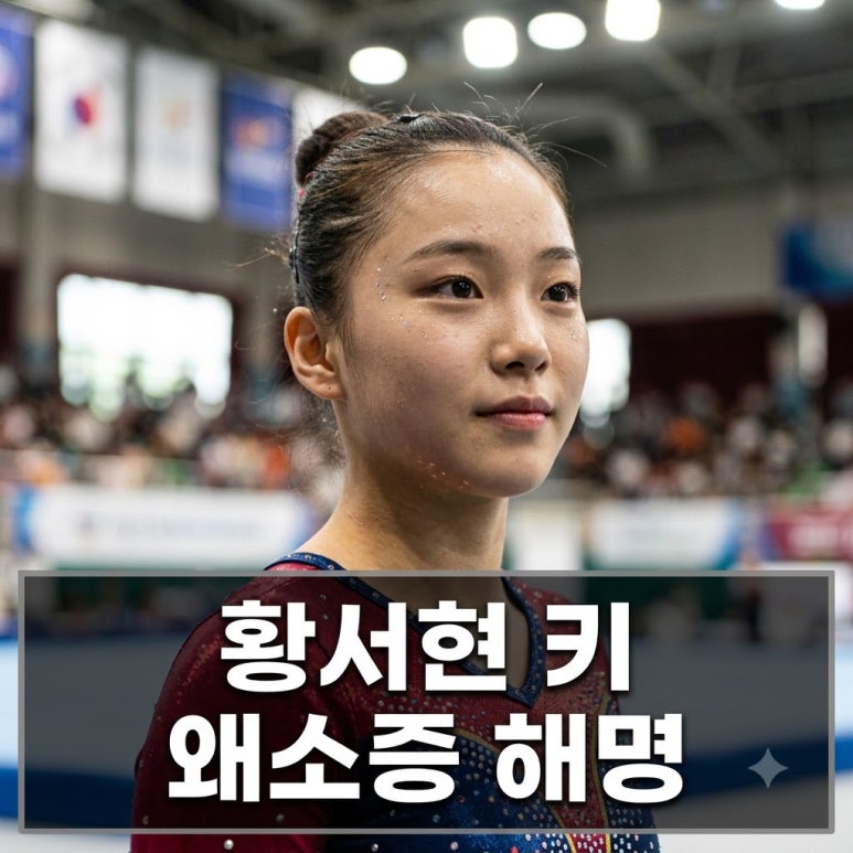 원문 이미지 1