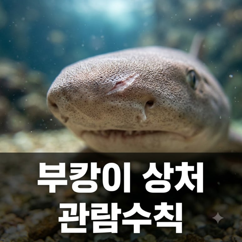 원문 이미지 1