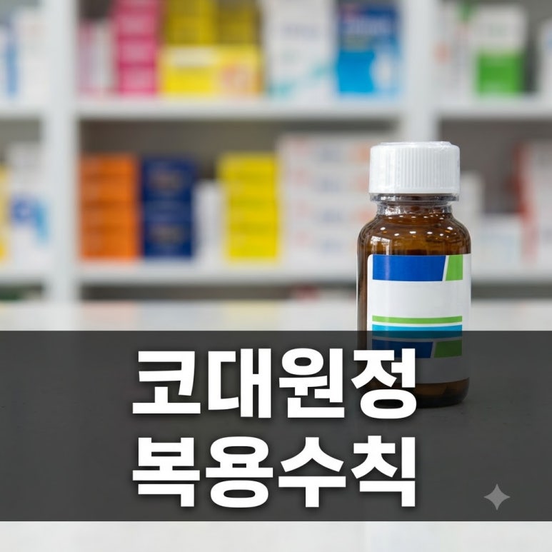 원문 이미지 1