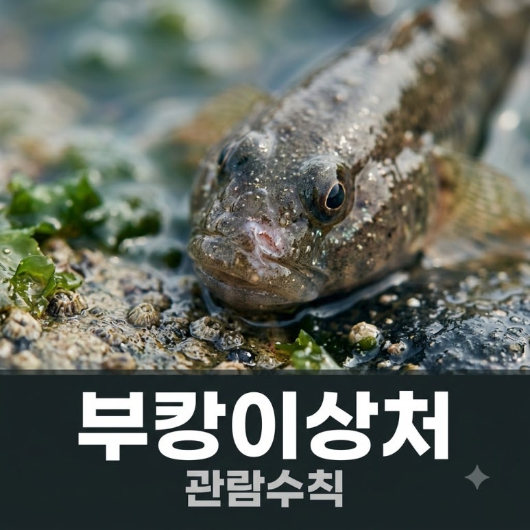 원문 이미지 1