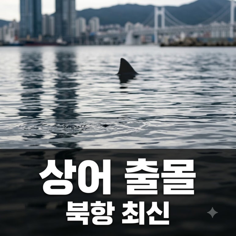 원문 이미지 1