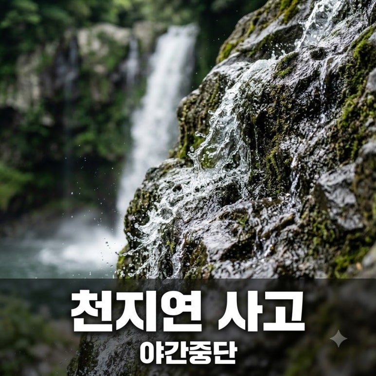 원문 이미지 1