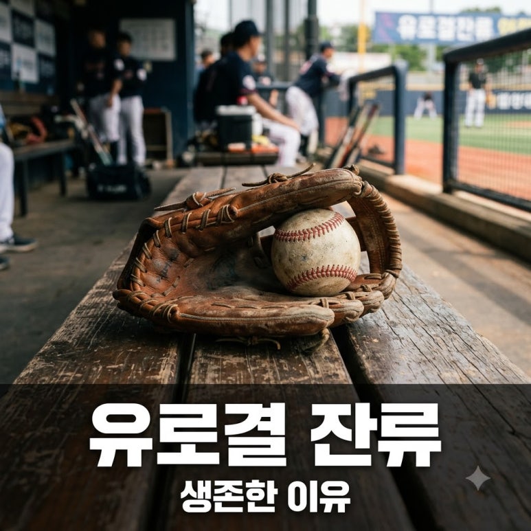 원문 이미지 1