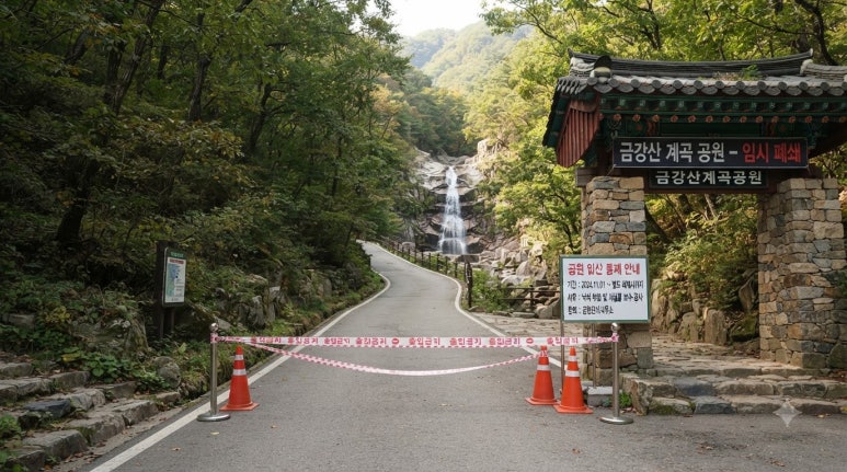 원문 이미지 6