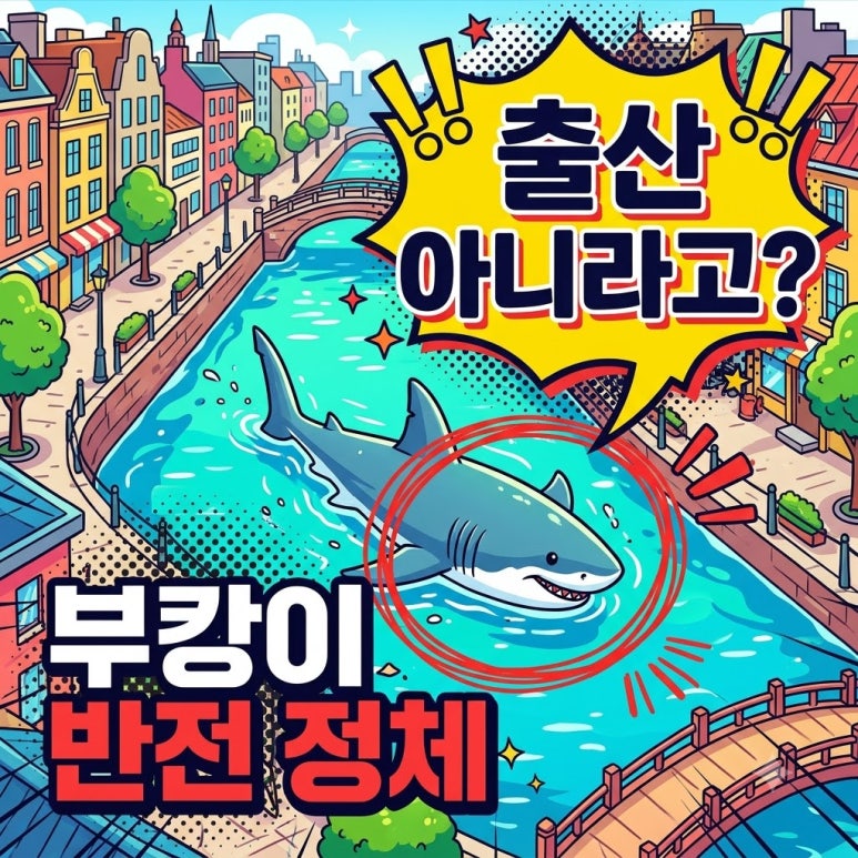 원문 이미지 1