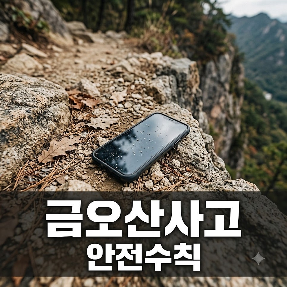 원문 이미지 1