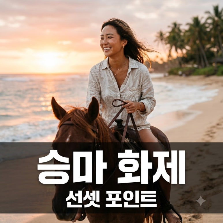 원문 이미지 1