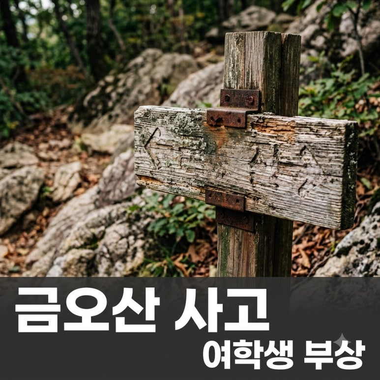 원문 이미지 1