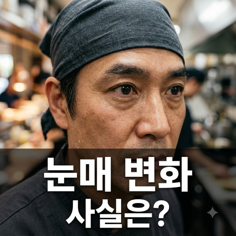 원문 이미지 1