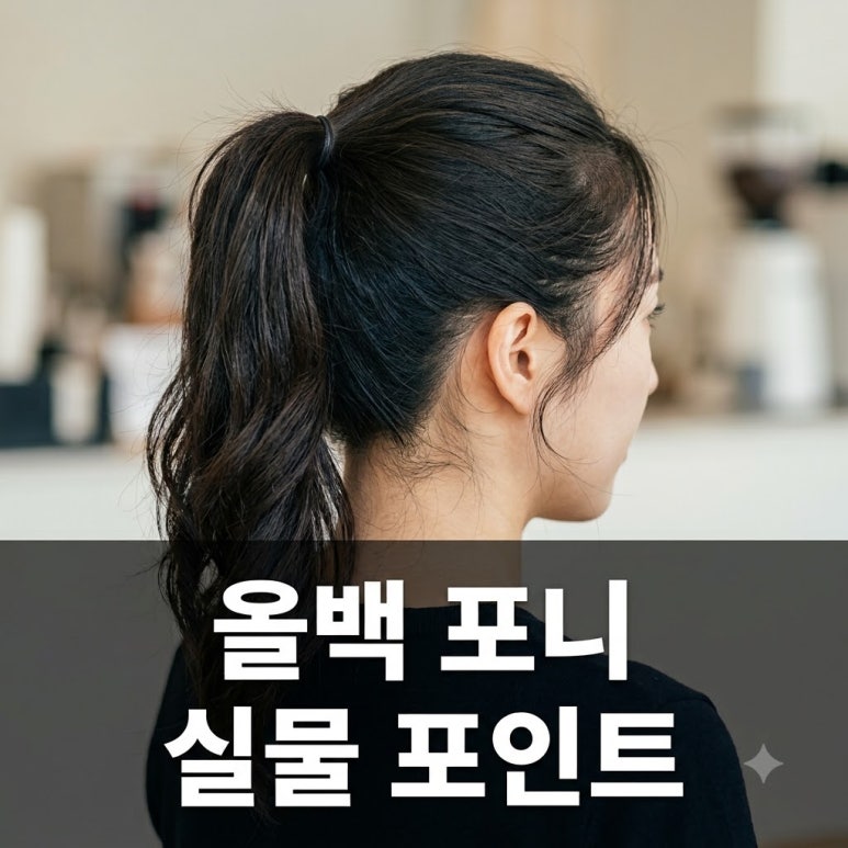 원문 이미지 1