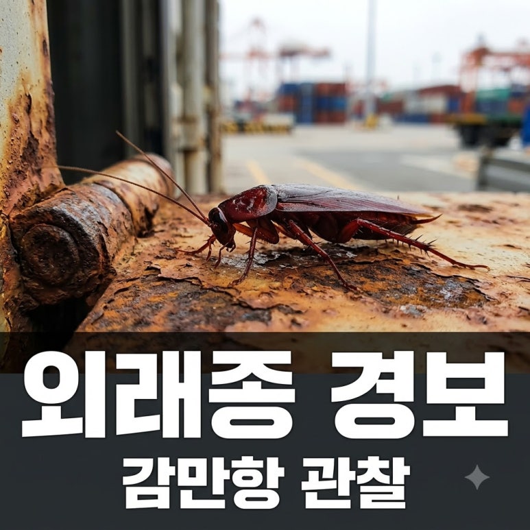 원문 이미지 1