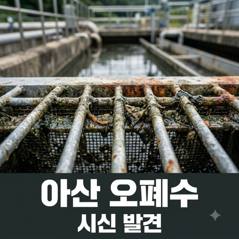 원문 이미지 1