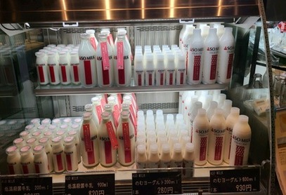 원문 이미지 19