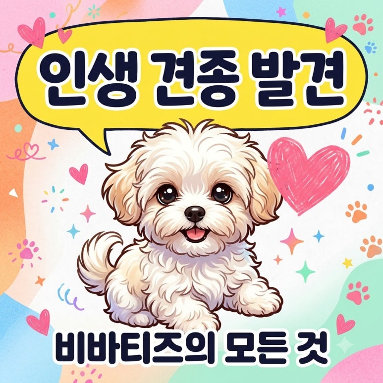 원문 이미지 1