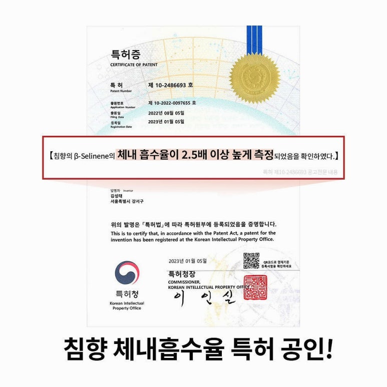 원문 이미지 4