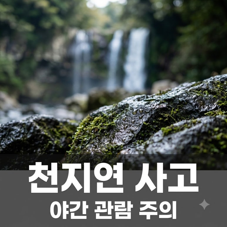 원문 이미지 1