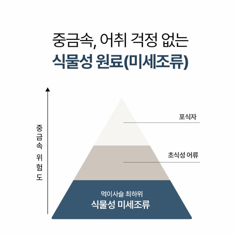 원문 이미지 9
