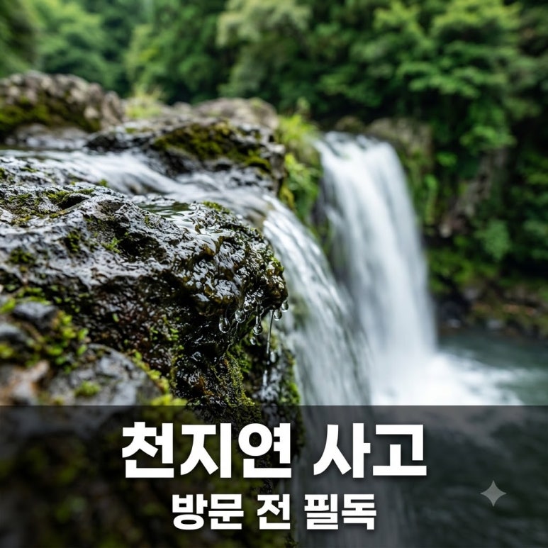 원문 이미지 1