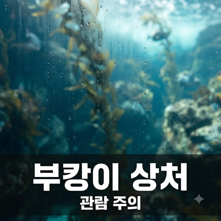 원문 이미지 1