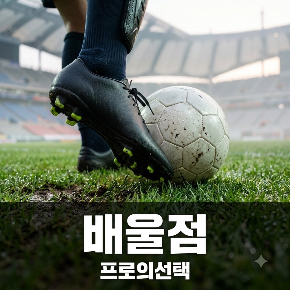 원문 이미지 1