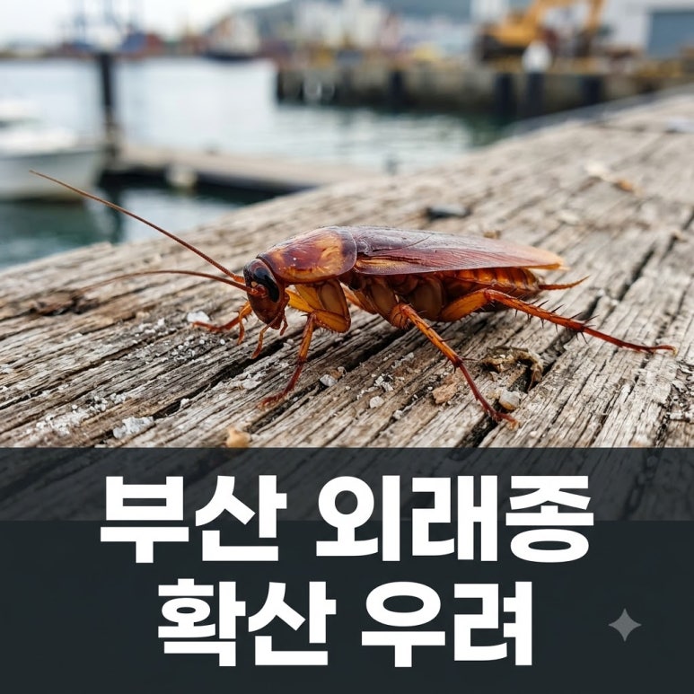 원문 이미지 1