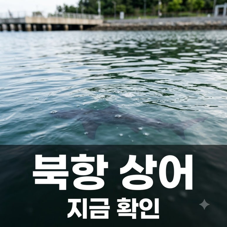 원문 이미지 1