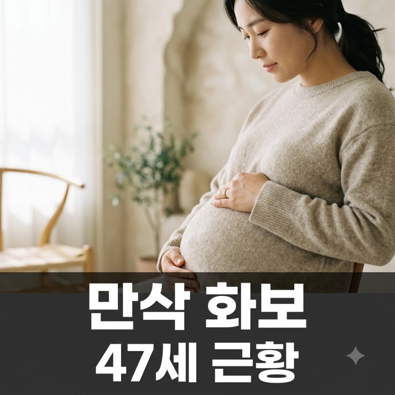 원문 이미지 1